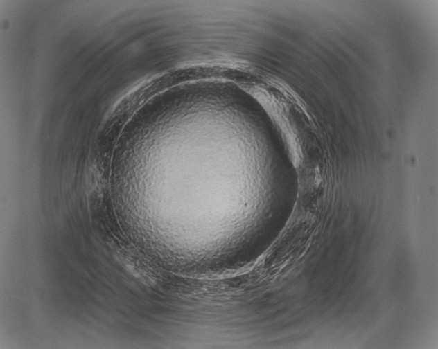 X0000083631064200702121200