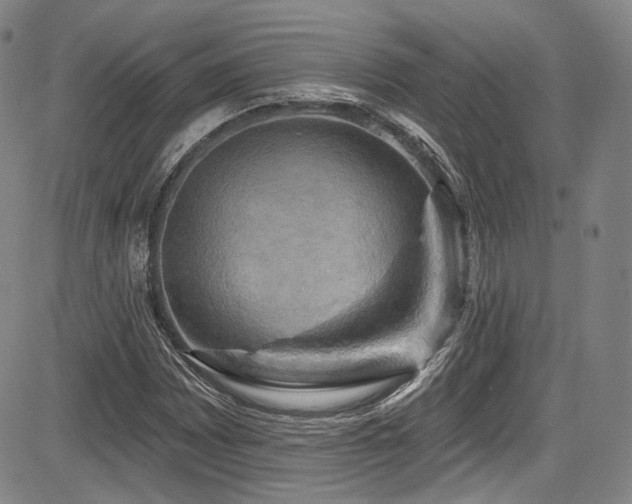 X0000083631065200702121200