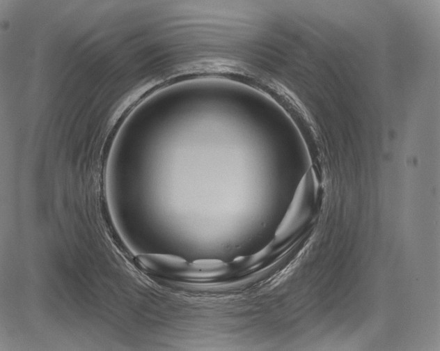 X0000083631081200702121159