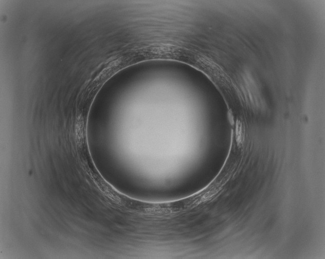X0000083631107200702121158