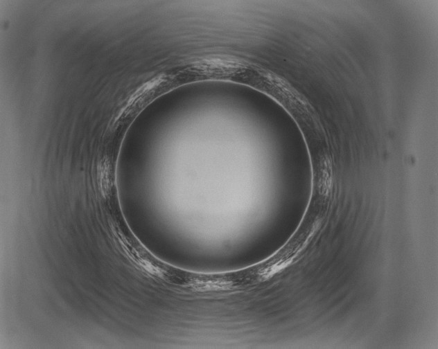 X0000083631108200702121158