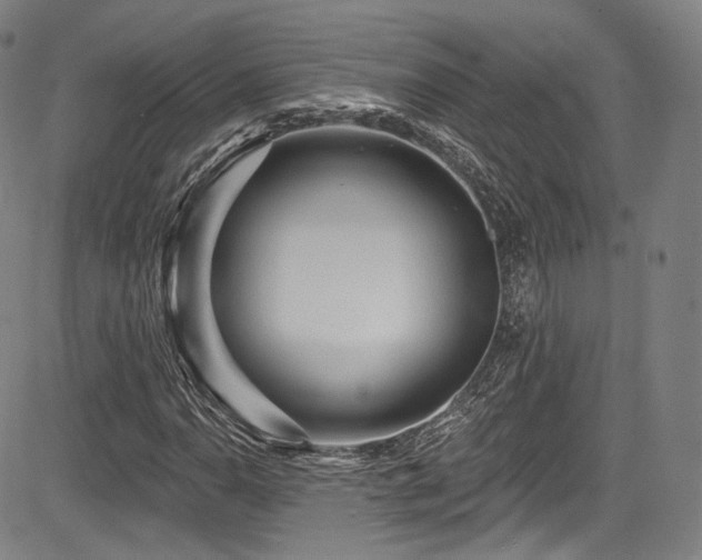 X0000083631110200702121158