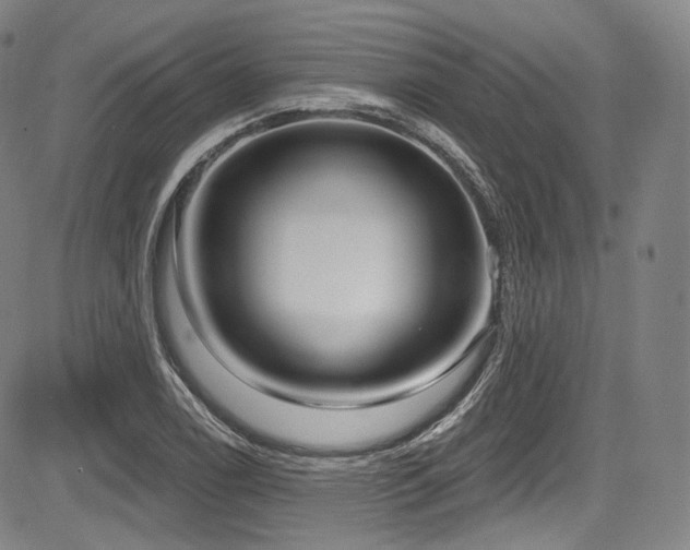 X0000083631122200702121159