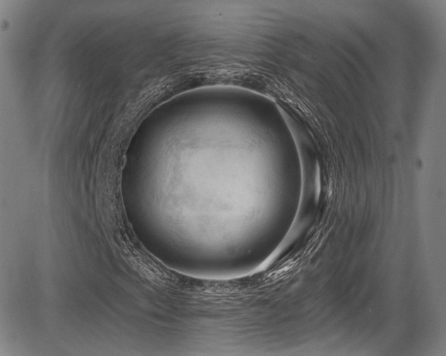 X0000083631153200702121158