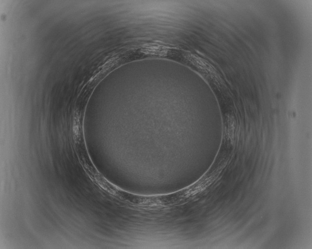 X0000083631154200702121158