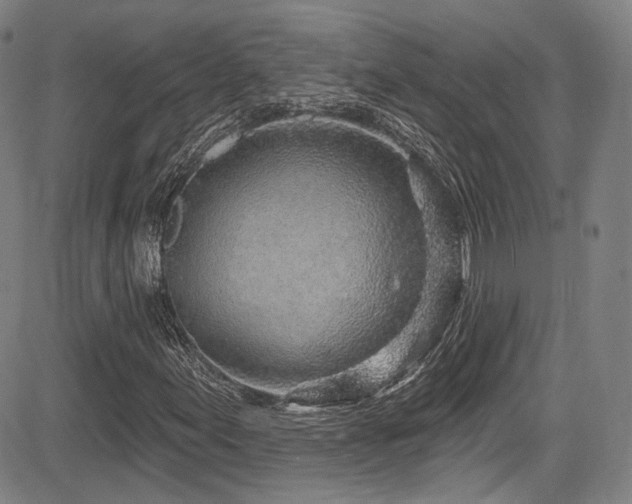 X0000083631155200702121158