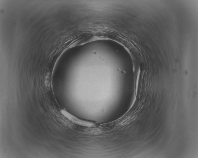 X0000083631156200702121158