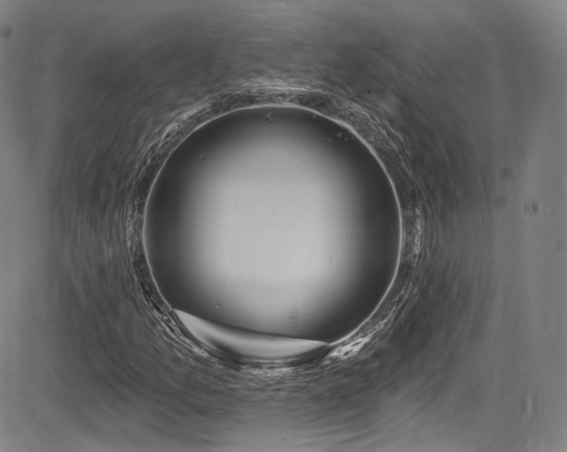 X0000083631157200702121158