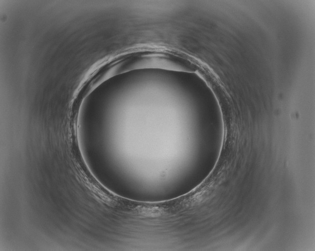 X0000083631168200702121158