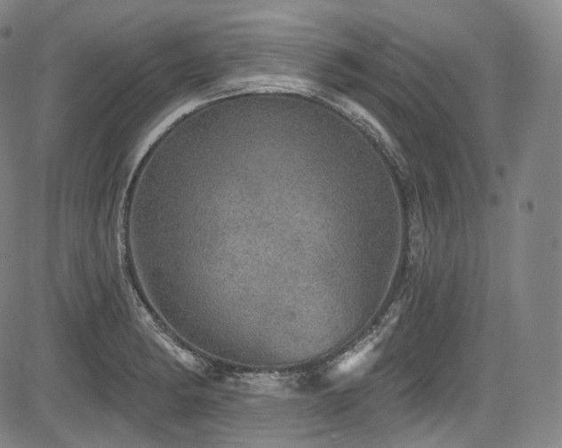 X0000083631182200702121158