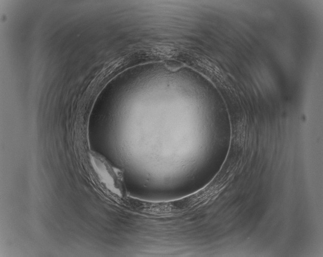 X0000083631201200702121157