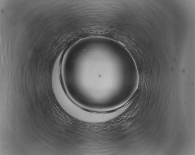 X0000083631202200702121157