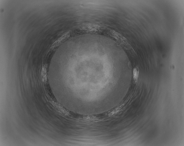 X0000083631203200702121157