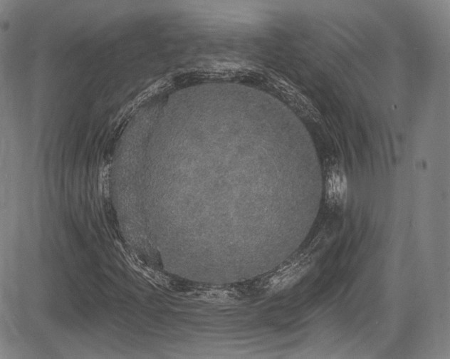 X0000083631204200702121157