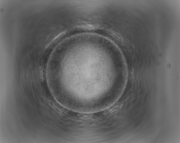 X0000083631205200702121157