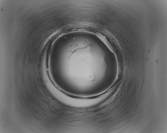 X0000083631210200702121157