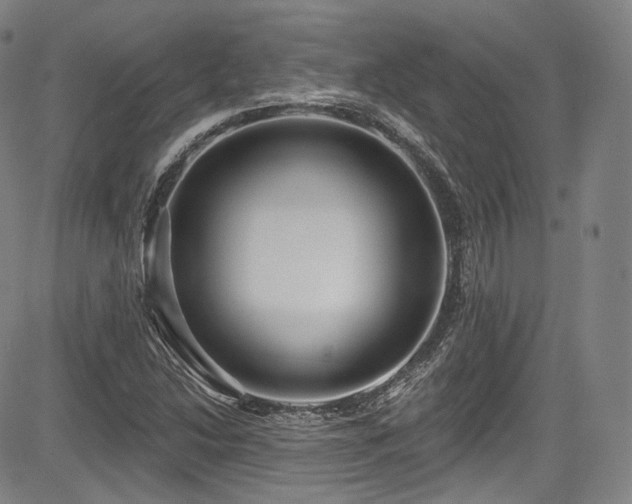 X0000083631214200702121157
