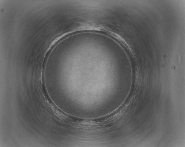 X0000083631220200702121157