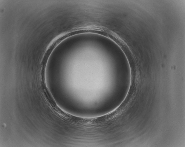 X0000083631222200702121157