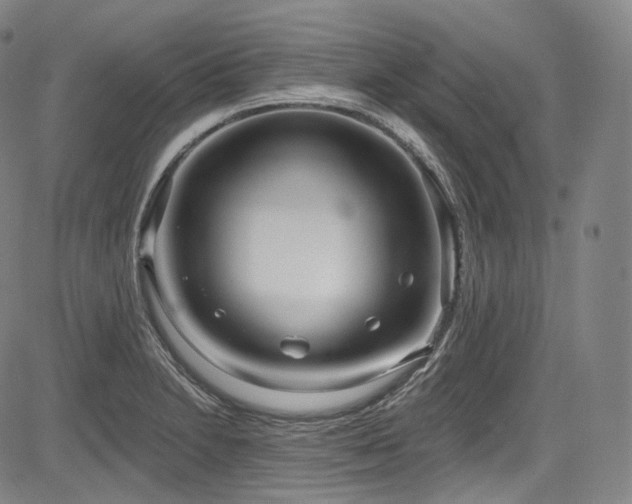 X0000083631230200702121157