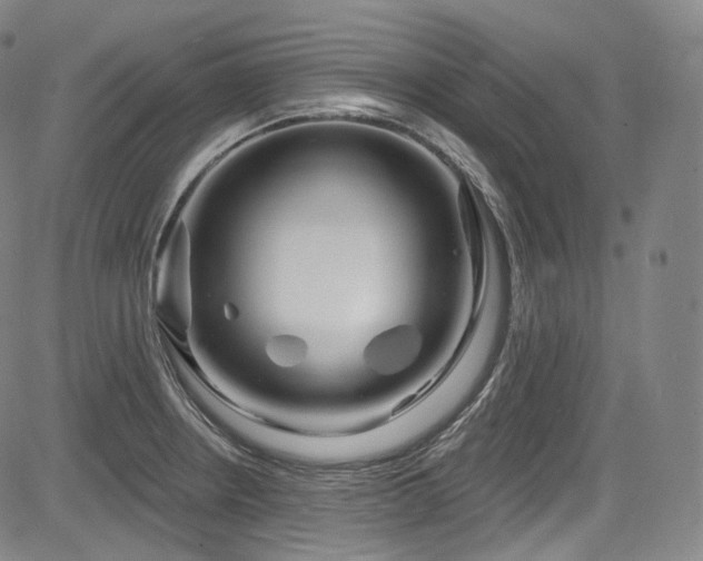 X0000083631234200702121157