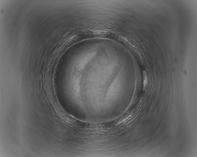 X0000083631249200702121157