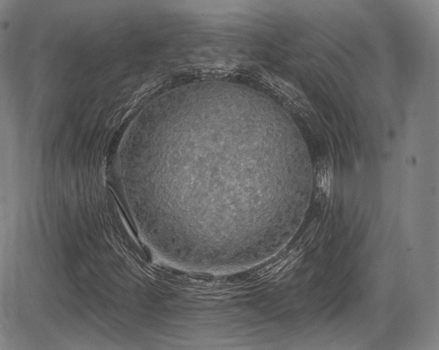 X0000083631252200702121157
