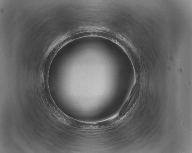 X0000083631261200702121156
