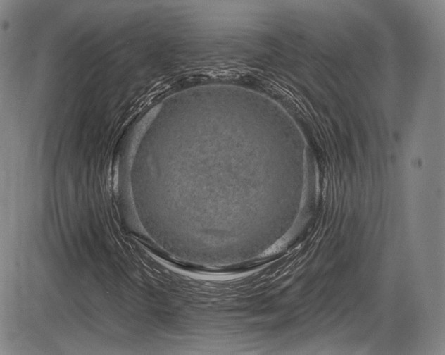 X0000083631298200702121155