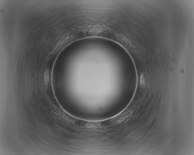 X0000083631299200702121155