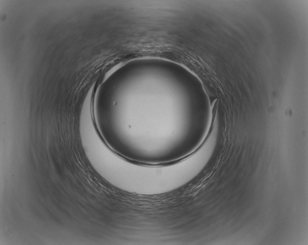 X0000083631300200702121155