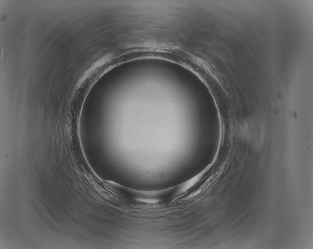 X0000083631307200702121155