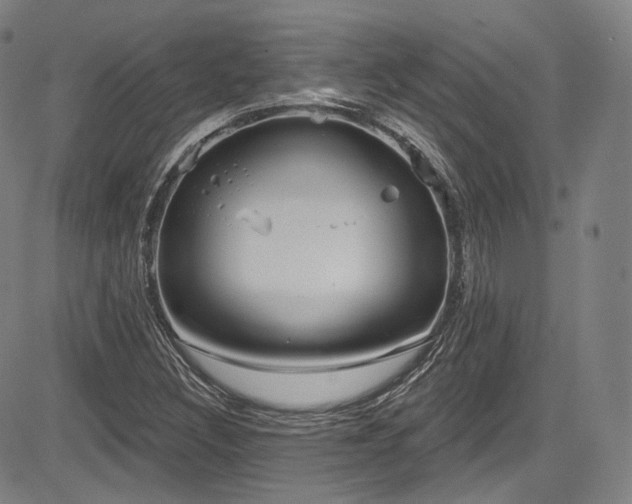 X0000083631308200702121155