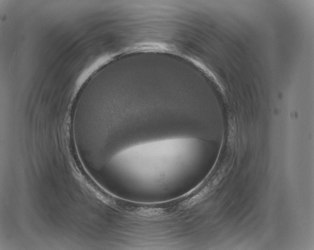X0000083631325200702121156