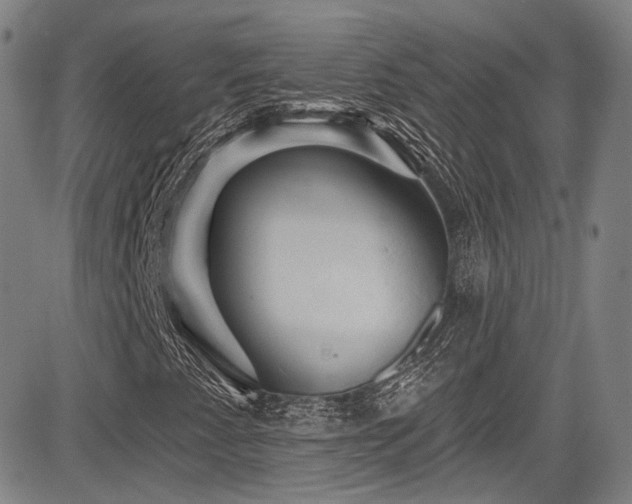 X0000083631345200702121155