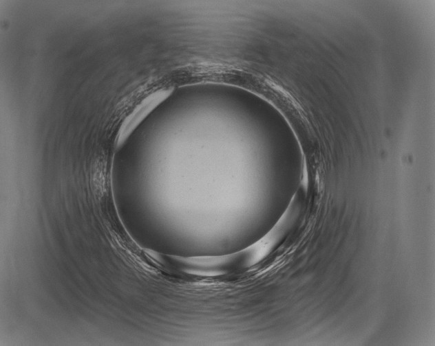 X0000083631348200702121155