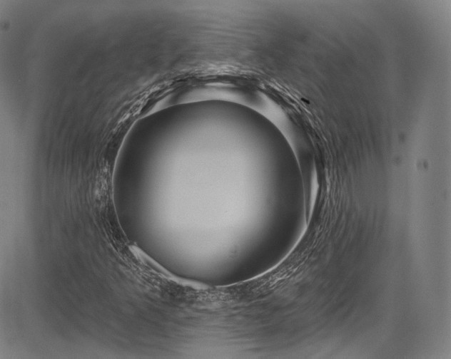 X0000083631349200702121155