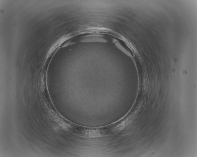 X0000083631362200702121155