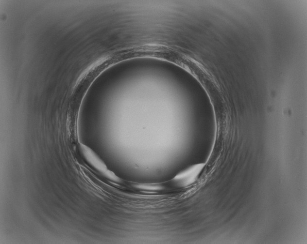 X0000083631402200702121154