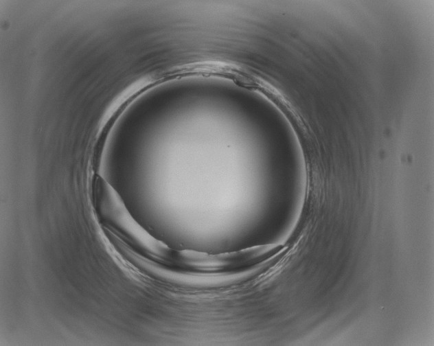 X0000083631426200702121154