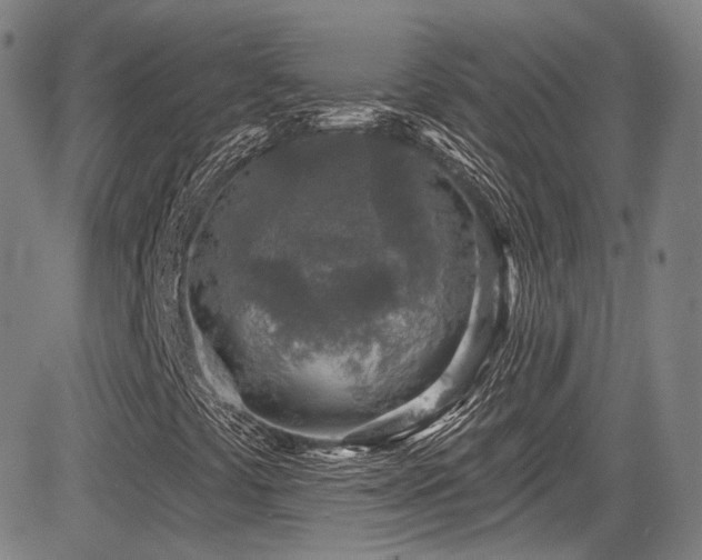 X0000083631441200702121154