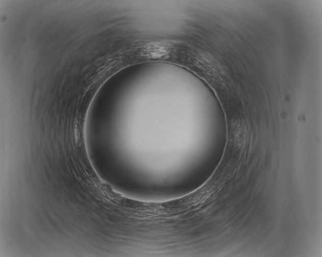 X0000083631442200702121154