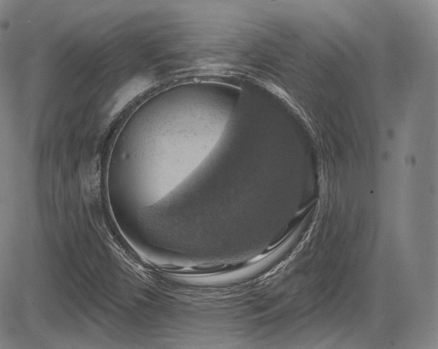 X0000083631450200702121153