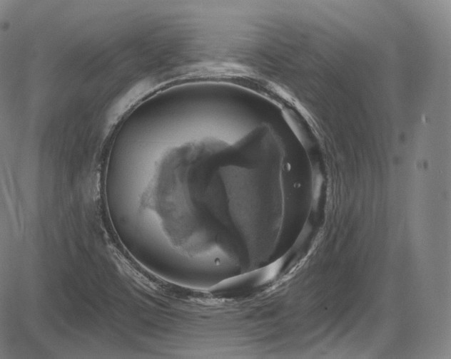 X0000083631459200702121153