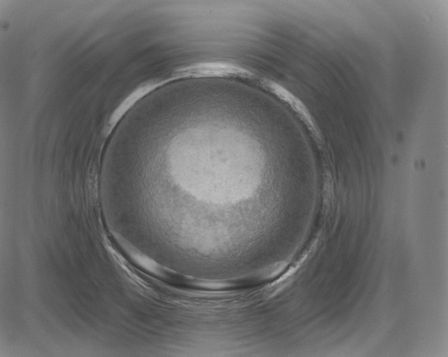 X0000083631473200702121153