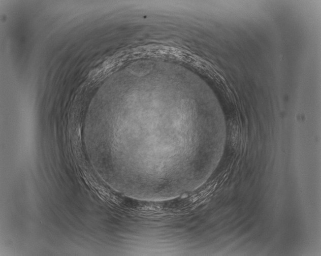 X0000083631489200702121152