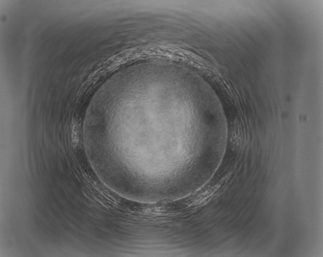 X0000083631490200702121152