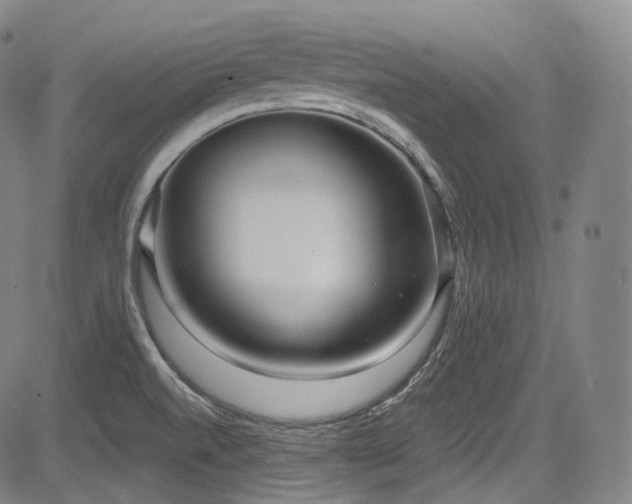 X0000083631520200702121153