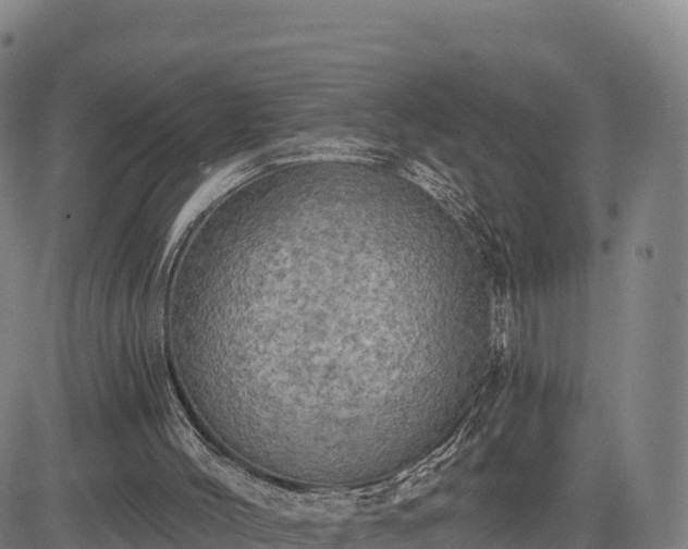 X0000083630004200702201354