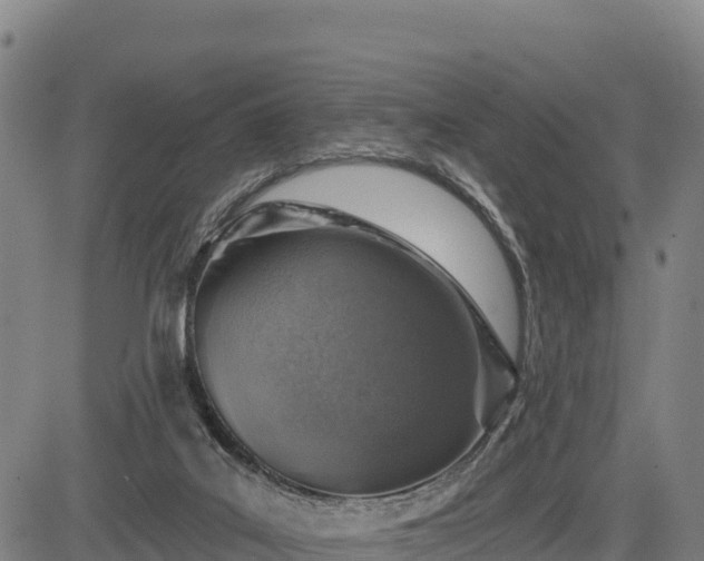 X0000083630019200702201354